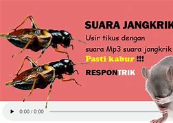 Jangkrik Pengusir Tikus Mp3